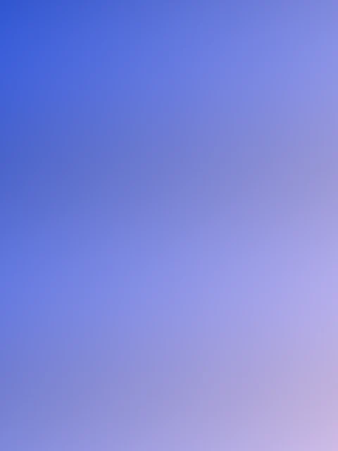 مریم شریفی